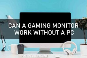 CAN A GAMING MONITOR WORK WITHOUT A PC