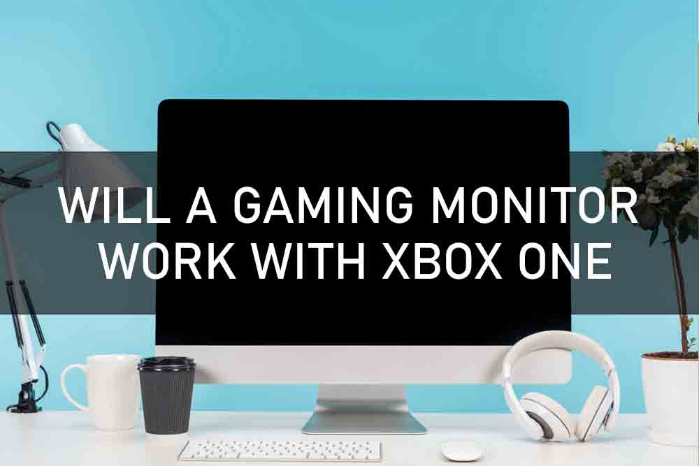 Will a Gaming Monitor Work with Xbox One